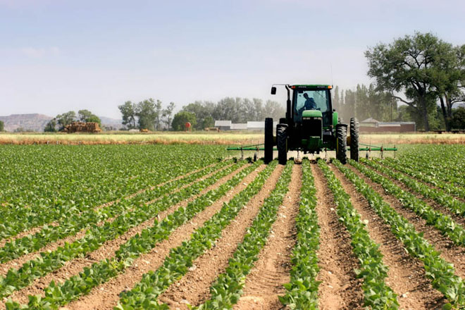 agriculture and tech