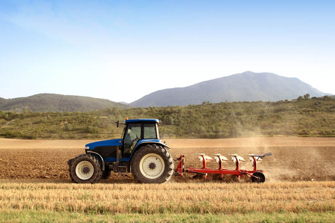 agriculture